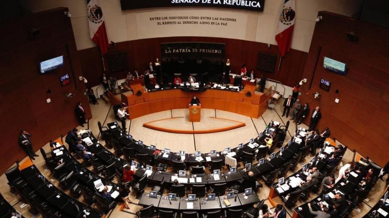 Labor legislativa del Senado ha cambiado modelo económico y social del país: Ana Lilia Rivera